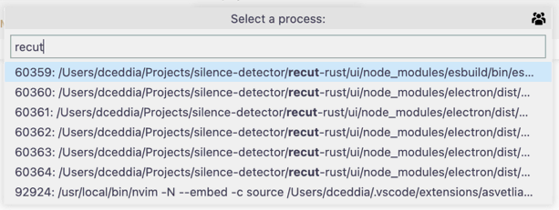 Select a process to attach VSCode's debugger to